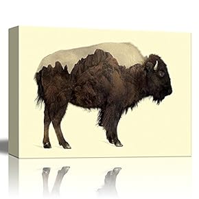 Double Exposure Graphic of a Buffalo and Rocky Mountains