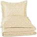 Amazon Brand – Pinzon Paris Printed Egyptian Cotton Sateen Duvet Set - Full or Queen, Eggshell