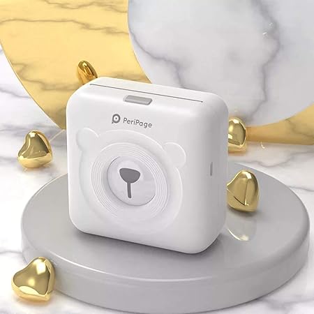 peripage mini a6 printer