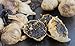 Whole Black Garlic - 2 Bulbs (2.54 oz) - Kosher Certified by Black Garlic North America