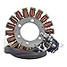 RaceTech Electric Replacement for Stator Suzuki LT-R LTR 450 Quadracer Z 2006-2009 | OEM Repl.# 32101-45G00 32101-45G10