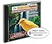 Feathered Phonics Volume 7: Teach Your Canary to Sing - Special Edition with FREE Perch!