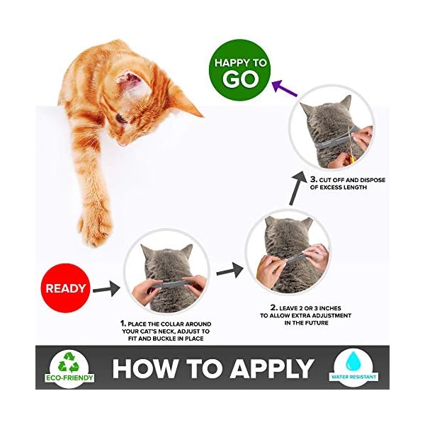 Flea Treatment Cat, FleaCollar for Cats Adjustable SmallMediumLarge