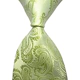 Paisley Jacquard Woven Men's Tie Necktie Neckwear Scarf for Male (Green)