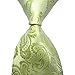 Paisley Jacquard Woven Men's Tie Necktie Neckwear Scarf for Male (Green)