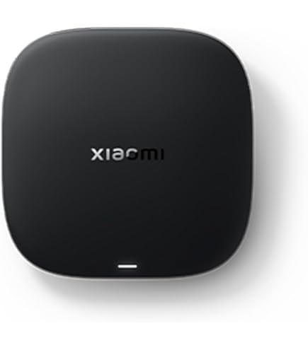 Xiaomi Mi Box S Android TV with Google Assistant Remote Streaming
