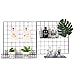 ANZOME Wire Wall Basket, Grid Basket with Hooks, Wall Mounted Organizer for Wall Grid, Kitchen Organizer, Wire Storage Shelf Rack for Home Supplies, Wall Decoration(Black)