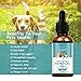 Lucoss Oil For Dogs Cats Relieve Stress Pain Organic Raw Plant Extract Oil For Pet Reducing Anxietythumb 1