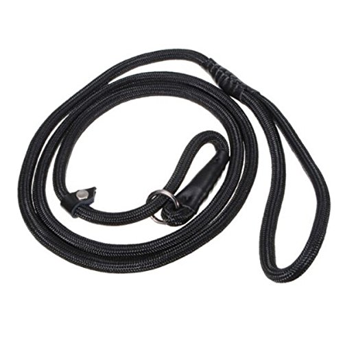150cm /59" Durable Pet Dog Nylon Adjustable Loop Training Leash Slip Lead Collar Traction Rope (Brown)
