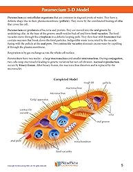 NewPath Paramecium 3-D Model Making Kit