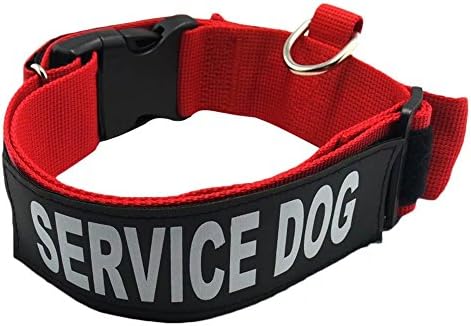 KUANG YANZI "Patch Collar" Nylon Dog Collar with SERVICE DOG Velcro Patches