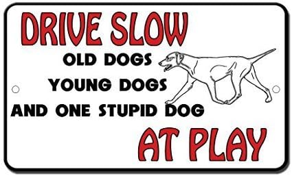 huhu Drive Lent Jeunes Vieux Stupid Citation De Chien A Jouer En Aluminium Sign Plaque En Metal Cadeau Pour Homme De Securite Yard Sign Amazon Fr Cuisine Maison