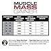 Labrada Nutrition Muscle Mass Gainer, Chocolate, 6 Pound