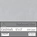 Pearlescent Metallic Silver Cardstock - 12 x 12 inch - 105 Lb - 10 Sheets