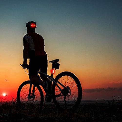 image for Bike Tail Light - Rear Bike Light USB Rechargeable Super Bright Led Re