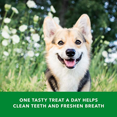 Amazon Brand - Wag Dental Dog Treats to Help Clean Teeth & Freshen Breath - Small, Unflavored, 2.25 pounds - Image 7