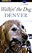 Walkin' the Dog Denver (Falcon Guides Walking)