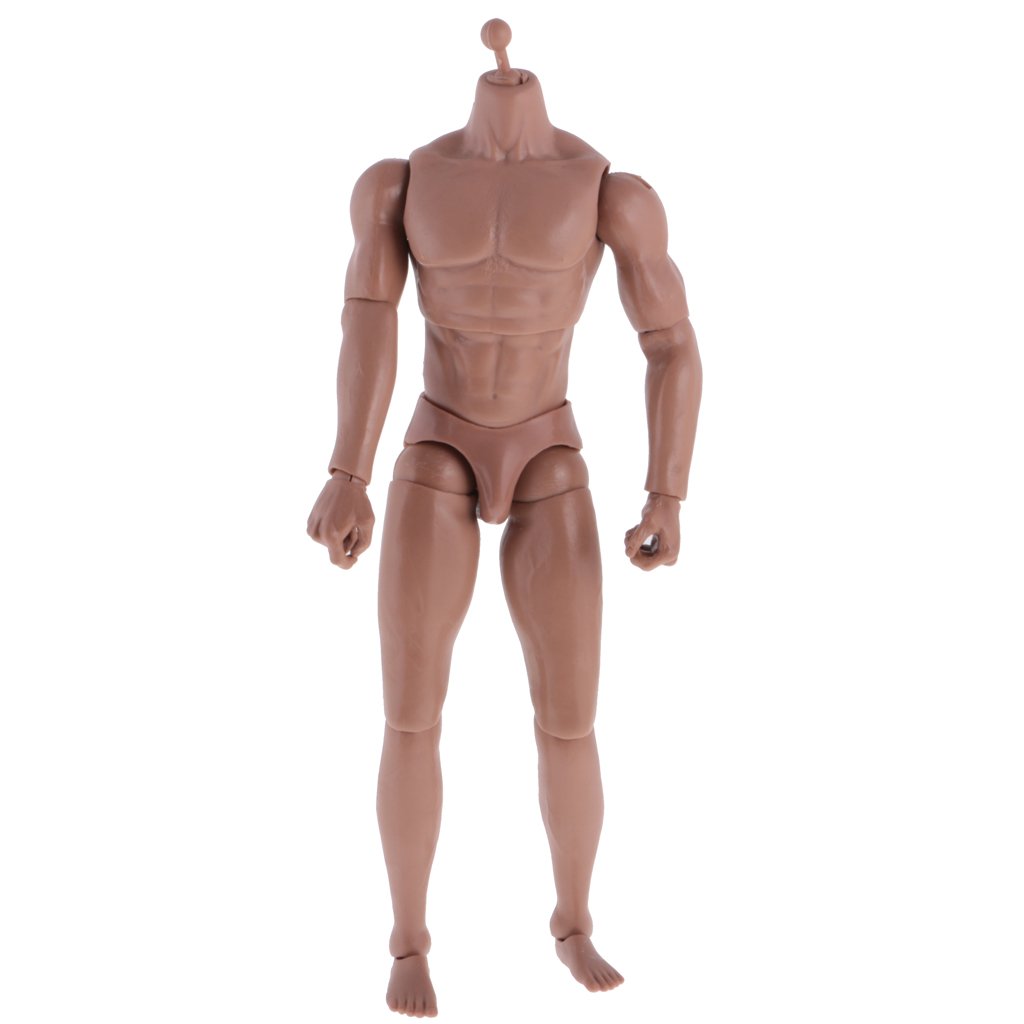 Buy 1 6 Scale 12 Inch Action Figure Muscled Male Body With Neck Model Toy Body Parts Accessories Online At Low Prices In India Amazon In