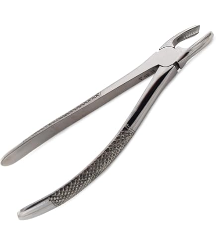 Amazon.com: Stainless Steel Lab Forceps with Angled Precision
