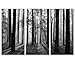 Visual Art Decor 3 Pieces Black and White Forest Wall Art Foggy Forest Pictures, Framed Canvas Wall Art Living Room Home Wall Decor