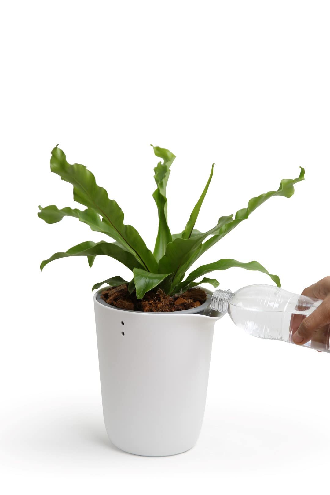 QUALY Oasis QL10307-WH-GY Round Flower Pot with Self-Watering System in White Size S
