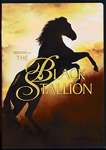 Black Stallion [Edizione: Stati Uniti] en promo sur Amazon
