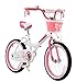 RoyalBaby Girls Kids Bike Jenny Bunny 12 14 16 18 20 Inch Bicycle 3-12 Years Old Basket Training Wheels Kickstand White Pink Child's Cycle