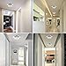 Fuloon 12W Modern Crystal LED Ceiling Light Pendant Flush Lamp Stainless Steel Chandelier Decor Perfect for Hallway/Stairway/Bedroom/Dining Room Upgraded Version(White Light)