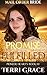 Promise Fulfilled (Pioneer Hearts Book 3) by Terri Grace