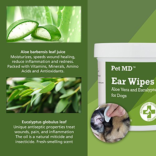 2 Pet+MD+Cleaner+Cleanser+Eucalyptus