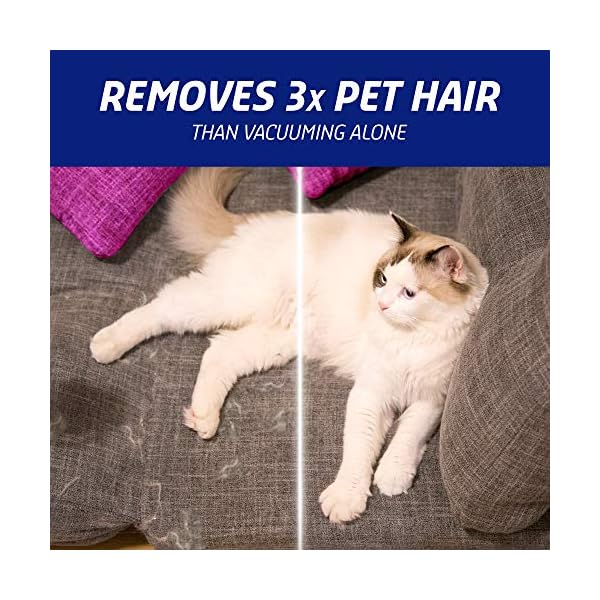 Vanish-Carpet-Cleaner-Upholstery-Pet-Expert-Foam-Shampoo-Large-Area-Cleaning-600-ml Vanish Carpet Cleaner + Upholstery, Pet Expert Foam Shampoo, Large Area Cleaning, 600 ml