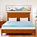 Milemont Mattress Topper King, Gel Memory Foam Mattress Toppers for King Size Bed, 2 Inch, Blue, ss-2