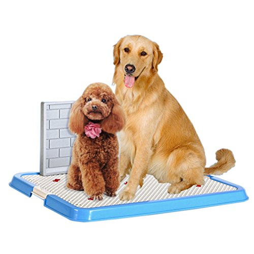 Buy Synturfmats Newest Design Indoor/Outdoor Pet Potty Puppy Toilet