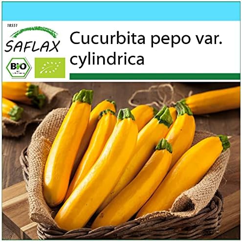 - Gift Set - Organic - Courgette - Gold Rush - 5 Seeds - with Gift Box ...