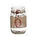 V-More® Christmas Holiday Mason Jar Flower Vase Glass Candle Holder Rustic Style with Burlap Rap Jute Bowknot and Small Red Bell 5-inch Tall for Home Decor Wedding Party and Celebration (Set of 1)