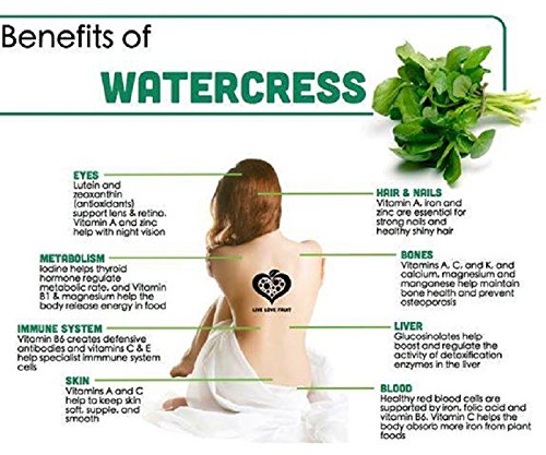 Natural Casanova Paris Watercress Hair Oil 210ML