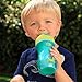 Chicco Insulated Flip-Top Straw Sippy Cup 9oz 12m+ (2pk) - Green/Orange