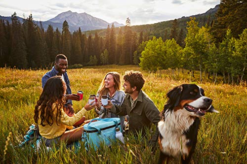 Hydro-Flask-10-oz-Wine-Tumbler-Stainless-Steel-Vacuum-Insulated-Press-In-Lid-Olive