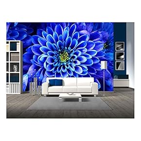 Close Up of Blue Flower : Aster with Blue Petals and Yellow Heart for Background or Texture - Removable Wall Mural | Self-Adhesive Large Wallpaper - 66x96 inches