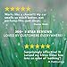 4-Pack Activated Bamboo Natural Air Freshener Bags, Charcoal Bags Odor Absorber & Mold Smell Remover, RV & Car Air Freshener, Home Air Freshener & Dehumidifier for Bathroom, Kitchen Deodorizer Bags
