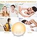 Alarm Clock Wake Up Light,XIRON Light Alarm Clock with Sunrise/Sunset Simulation,Dual Alarms and Snooze Function, 7 Colour Atmosphere Lamp, 7 Natural Sounds and FM Radio for Kids Adults Bedroom