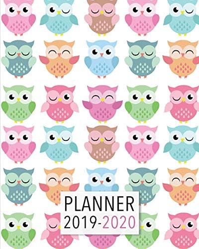 Planner 2019-2020: 18 Month Academic Planner. Monthly and Weekly Calendars, Daily Schedule, Important Dates, Mood Tracker, Goals and Thoughts all in One! Cute Owl Cover. Paperback – April 7, 2019