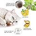 VMIZIV Cat Catnip Sticks, 10 Pcs Natural Matatabi Silvervine Sticks Chew Toys Cat Treats Sticks Natural Cat Dental Chews for Teeth Cleaning