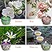 La roskey Scented Candles Gift Set - Jasmine, Rose, Vanilla and White Tea, Candle Soy Wax for Stress Relief and Aromatherapy, Candles(4 - Pack)
