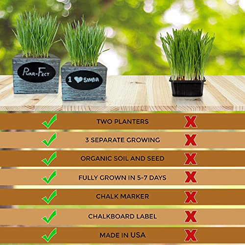 Organic Cat Grass Seeds Kit with 2 Square Planters & Soil Pucks, Seeds