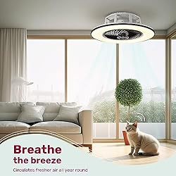 YANASO Ceiling Fan with Light