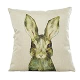 Iuhan® Fashion Pillow Case Sofa Waist Throw Cushion Cover Home Decor (F)