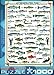 EuroGraphics Freshwater Fish 1000-Piece Puzzle