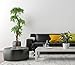 EPESTOEC 6FT Artificial Ficus Silk Tree (70in) with Plastic Nursery Pot, Fake Plant for Living Room Balcony Corner Decor,Indoor-Outdoor Use