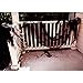 Giant Halloween Creepy Cloth Size 36 Inches x 200 Inches and Decorative Door Hanger